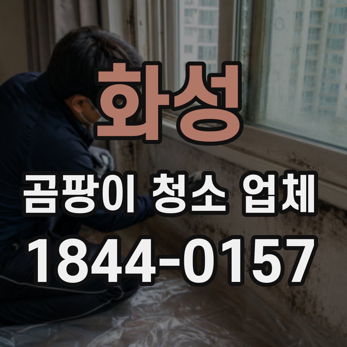 화성 곰팡이 청소 업체