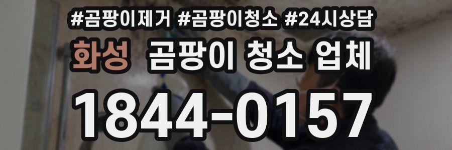 화성 곰팡이 청소 업체