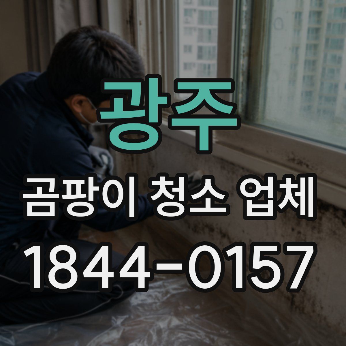 광주 곰팡이 청소 업체
