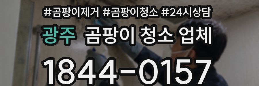 광주 곰팡이 청소 업체