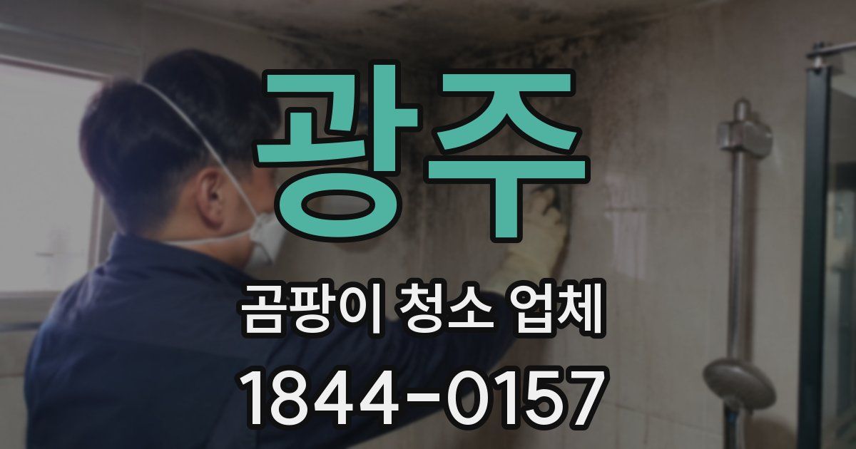 광주 곰팡이 청소 업체