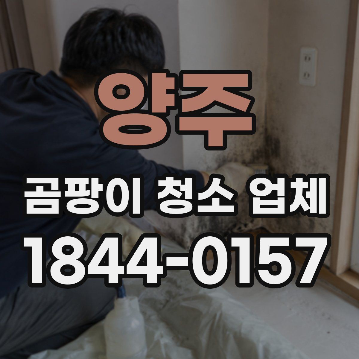 양주 곰팡이 청소 업체 공기질 회복을 위한 사후 점검 항목