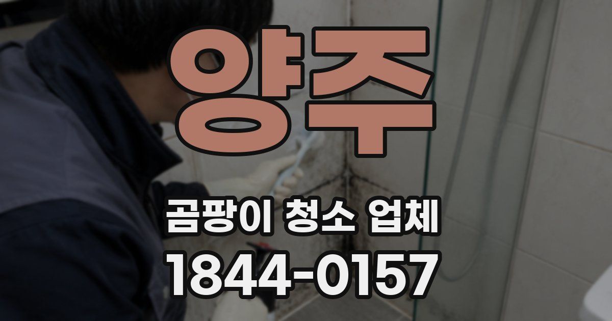 양주 곰팡이 청소 업체