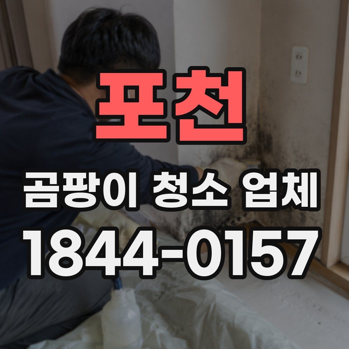 포천 곰팡이 청소 업체 세탁 가능한 자재와 불가 자재를 나누는 기준