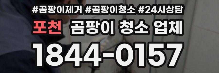 포천 곰팡이 청소 업체