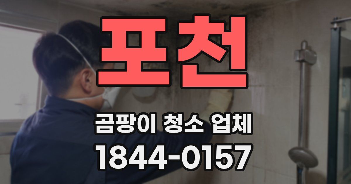포천 곰팡이 청소 업체