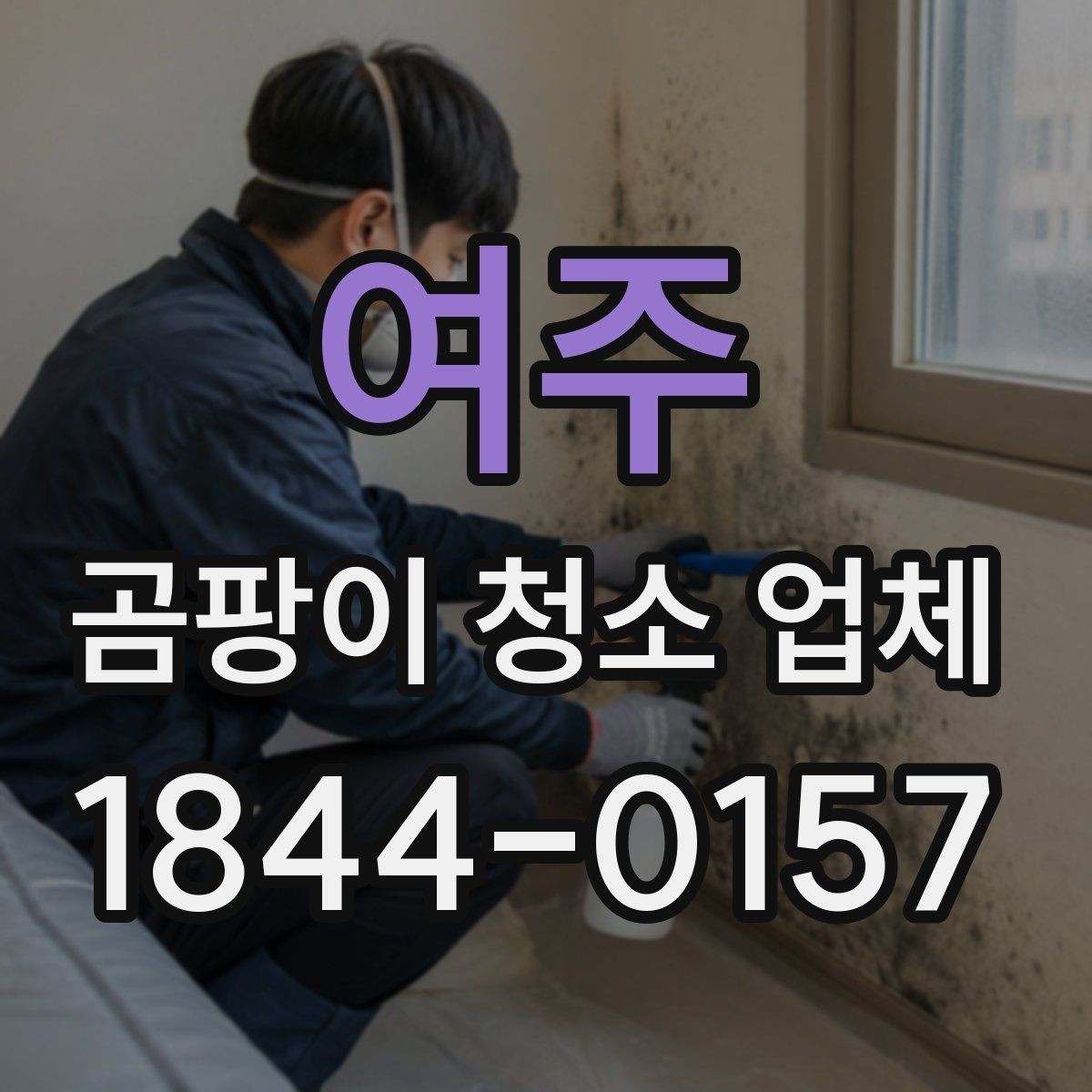 여주 곰팡이 청소 업체 천장과 창틀로 번진 오염 확인법