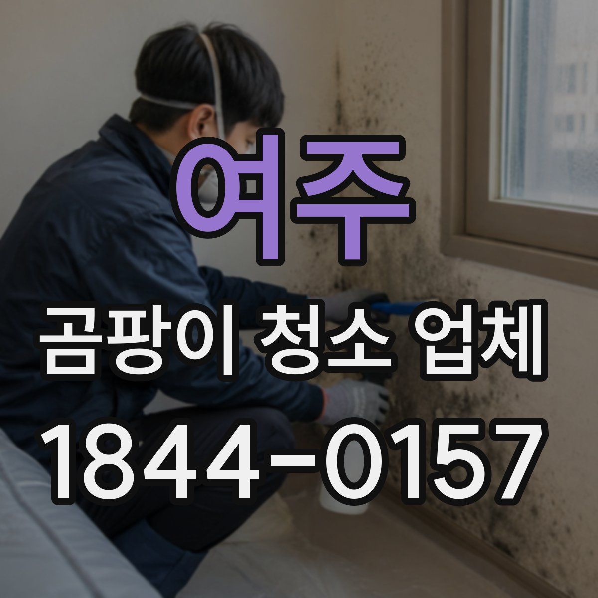 여주 곰팡이 청소 업체