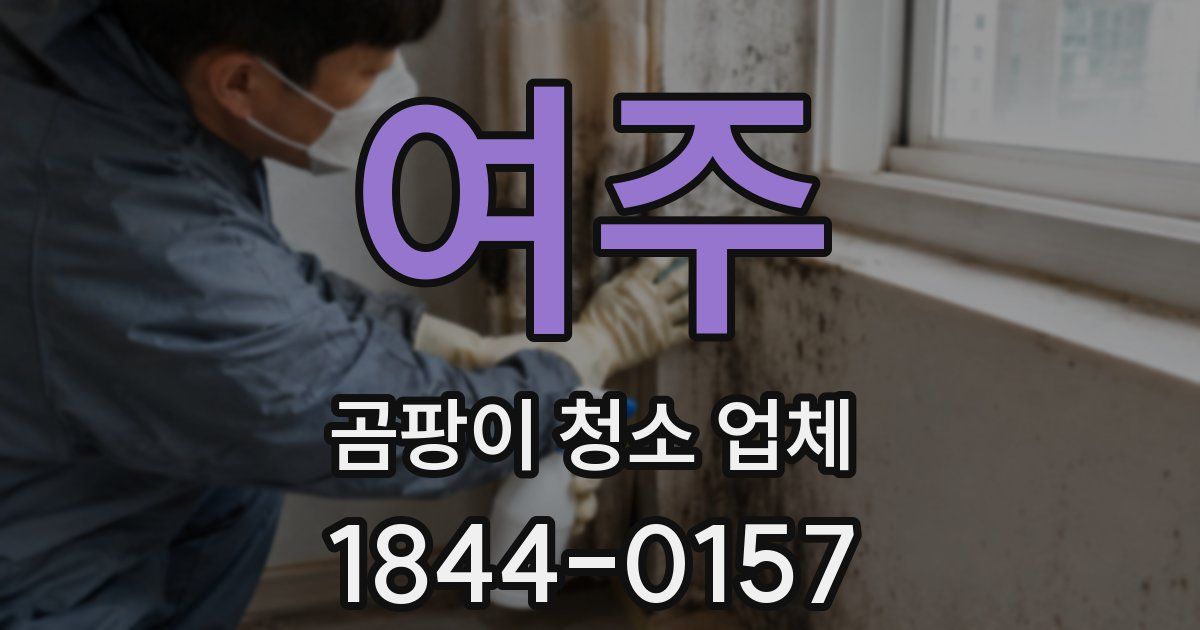 여주 곰팡이 청소 업체