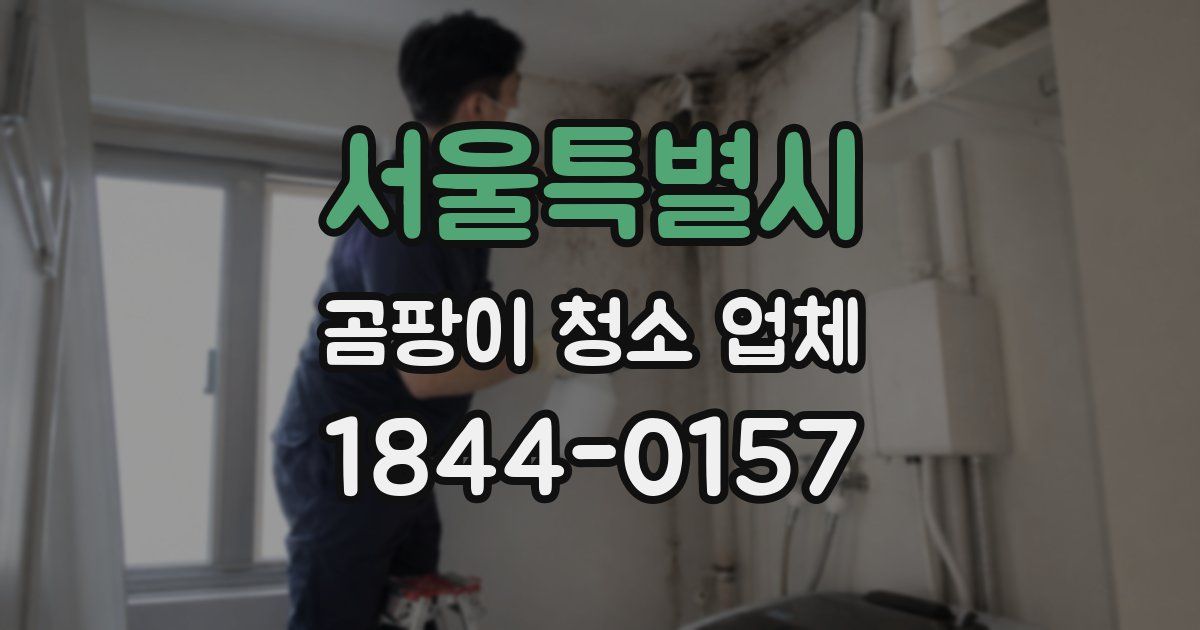 서울특별시 곰팡이 청소 업체