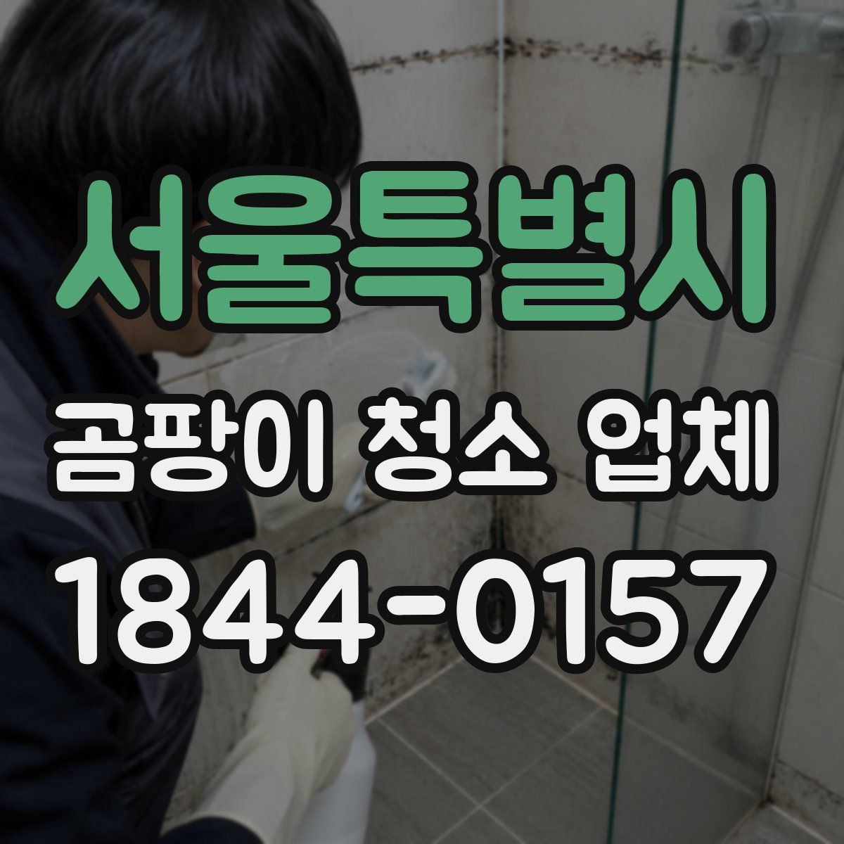 서울특별시 곰팡이 청소 업체