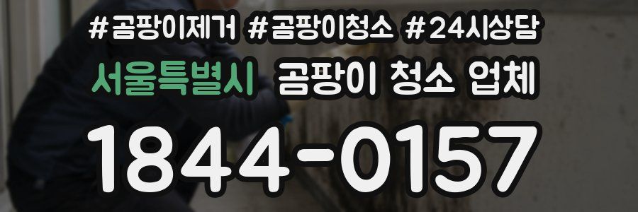 서울특별시 곰팡이 청소 업체