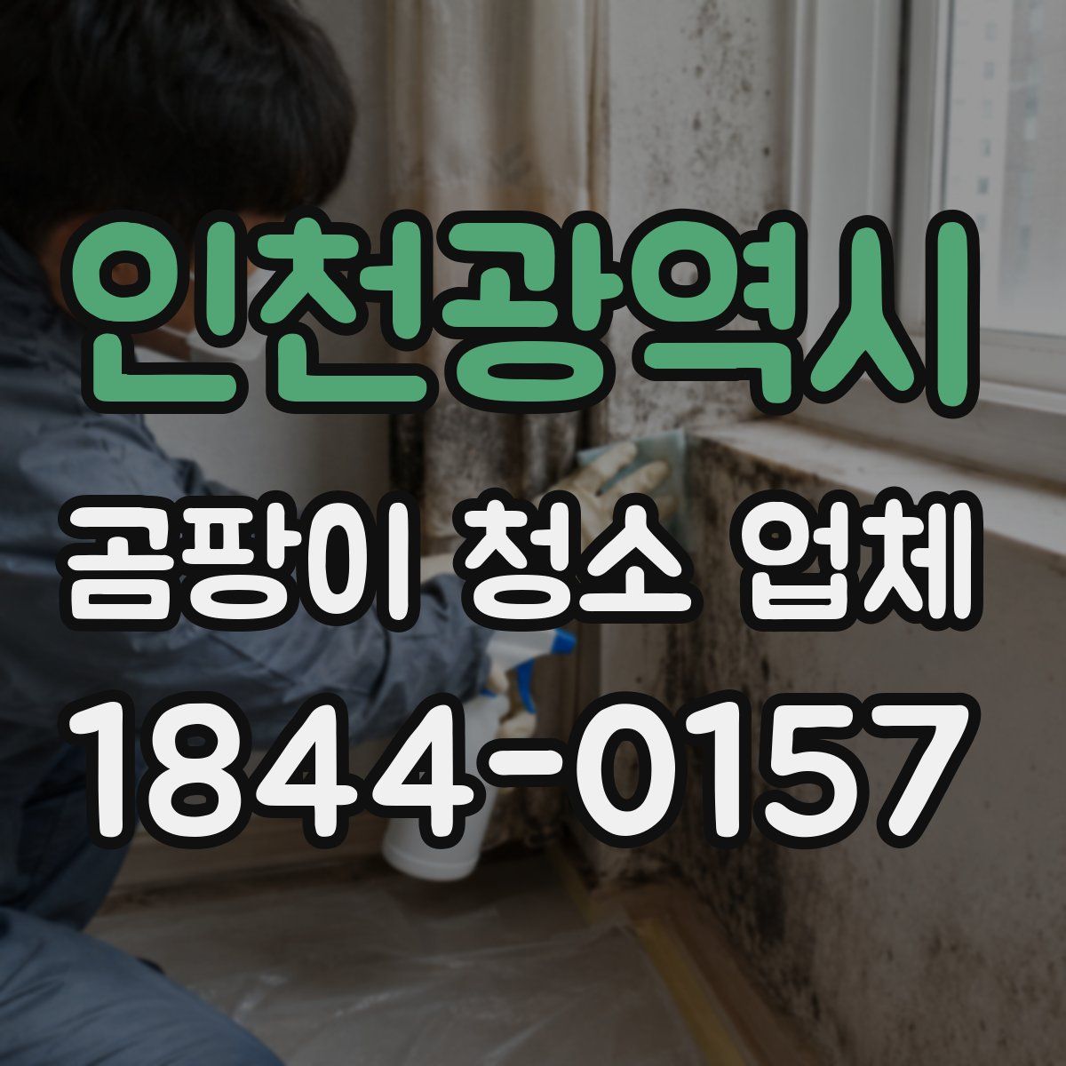 인천광역시 곰팡이 청소 업체