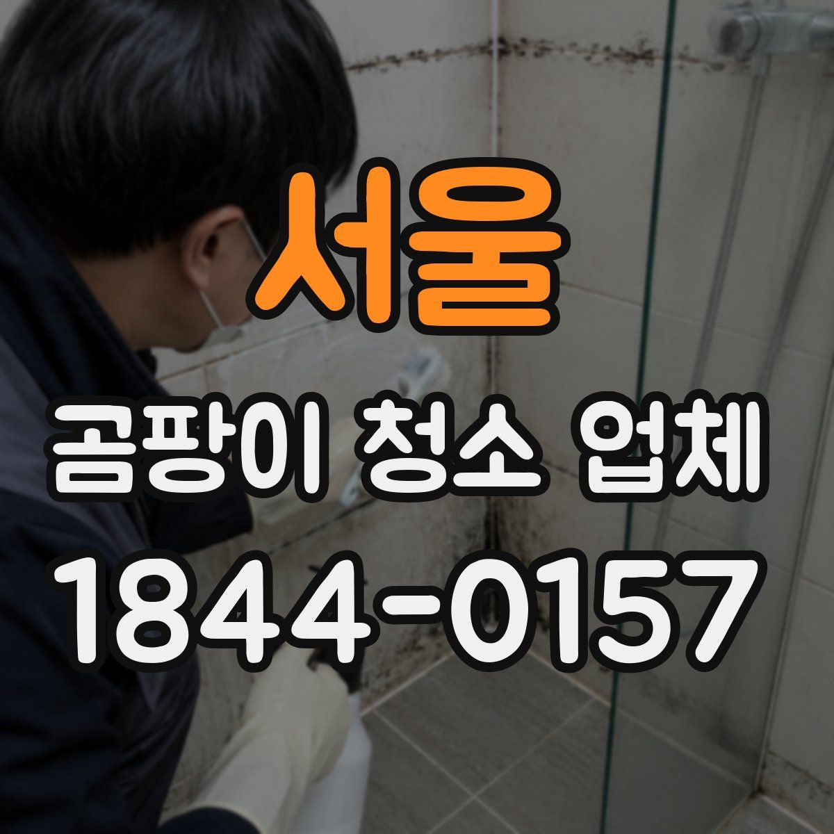 서울 곰팡이 청소 업체