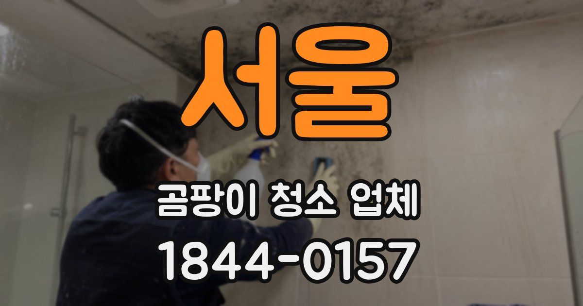 서울 곰팡이 청소 업체