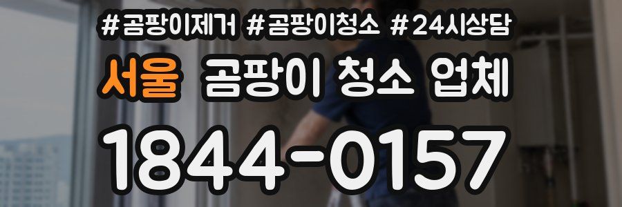 서울 곰팡이 청소 업체