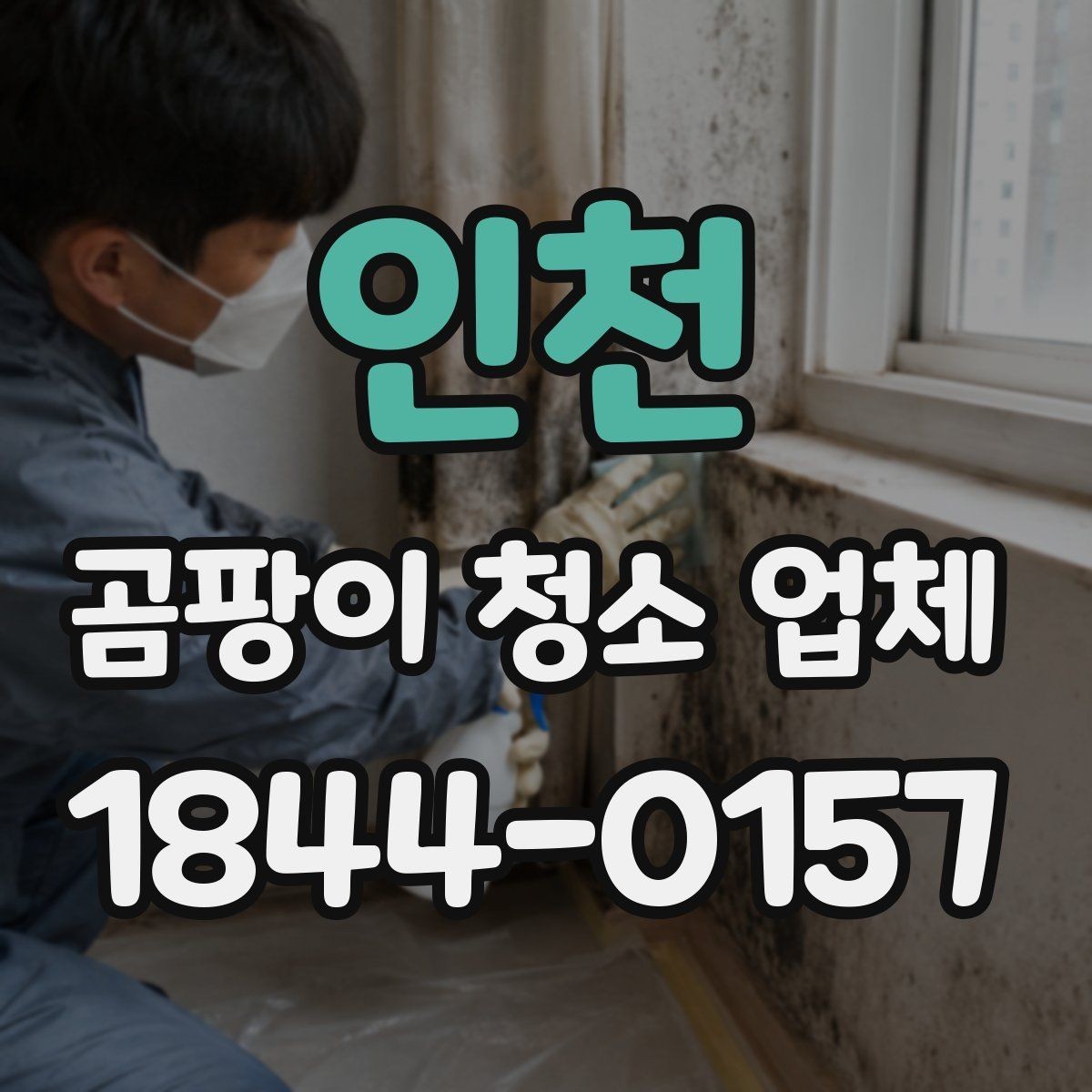 인천 곰팡이 청소 업체 영유아 가정이 특히 주의해야 할 작업 범위