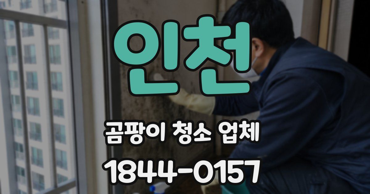 인천 곰팡이 청소 업체