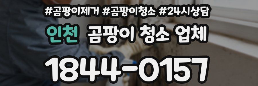 인천 곰팡이 청소 업체