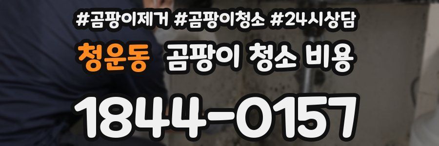 청운동 곰팡이 청소 비용