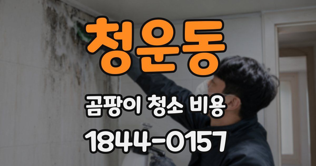청운동 곰팡이 청소 비용