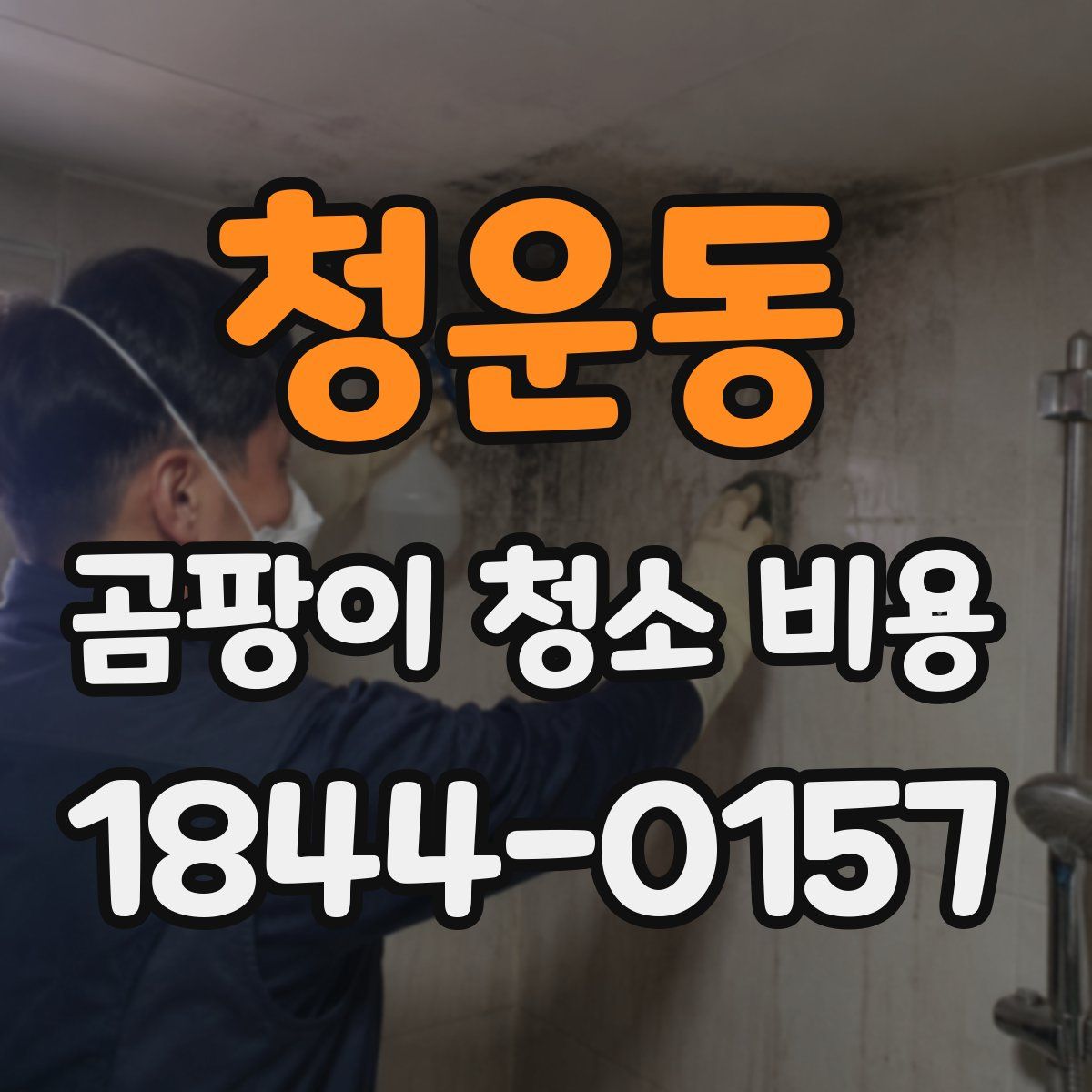 청운동 곰팡이 청소 비용