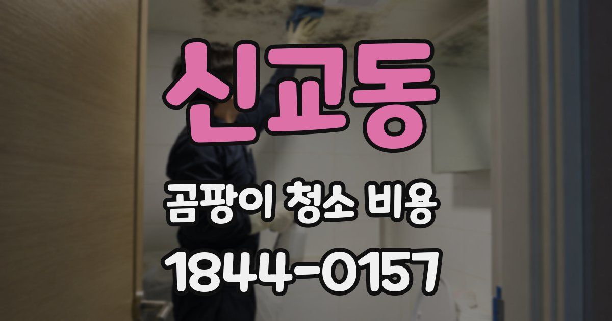 신교동 곰팡이 청소 비용