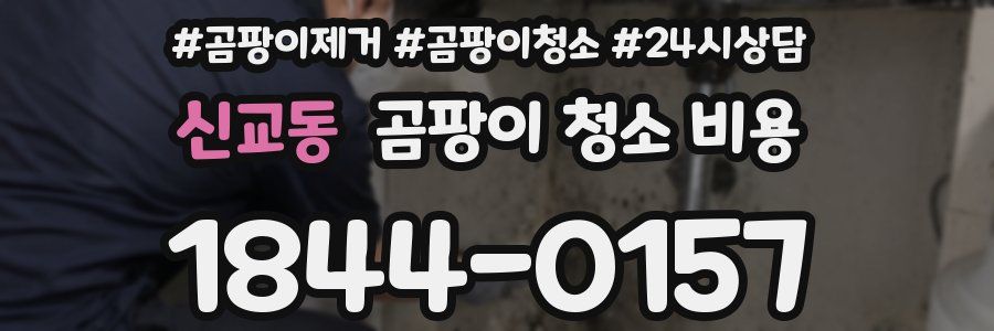 신교동 곰팡이 청소 비용