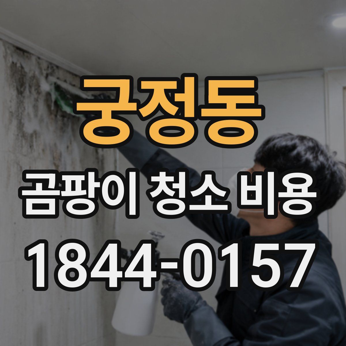 궁정동 곰팡이 청소 비용