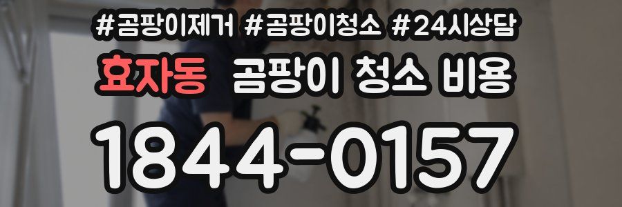효자동 곰팡이 청소 비용