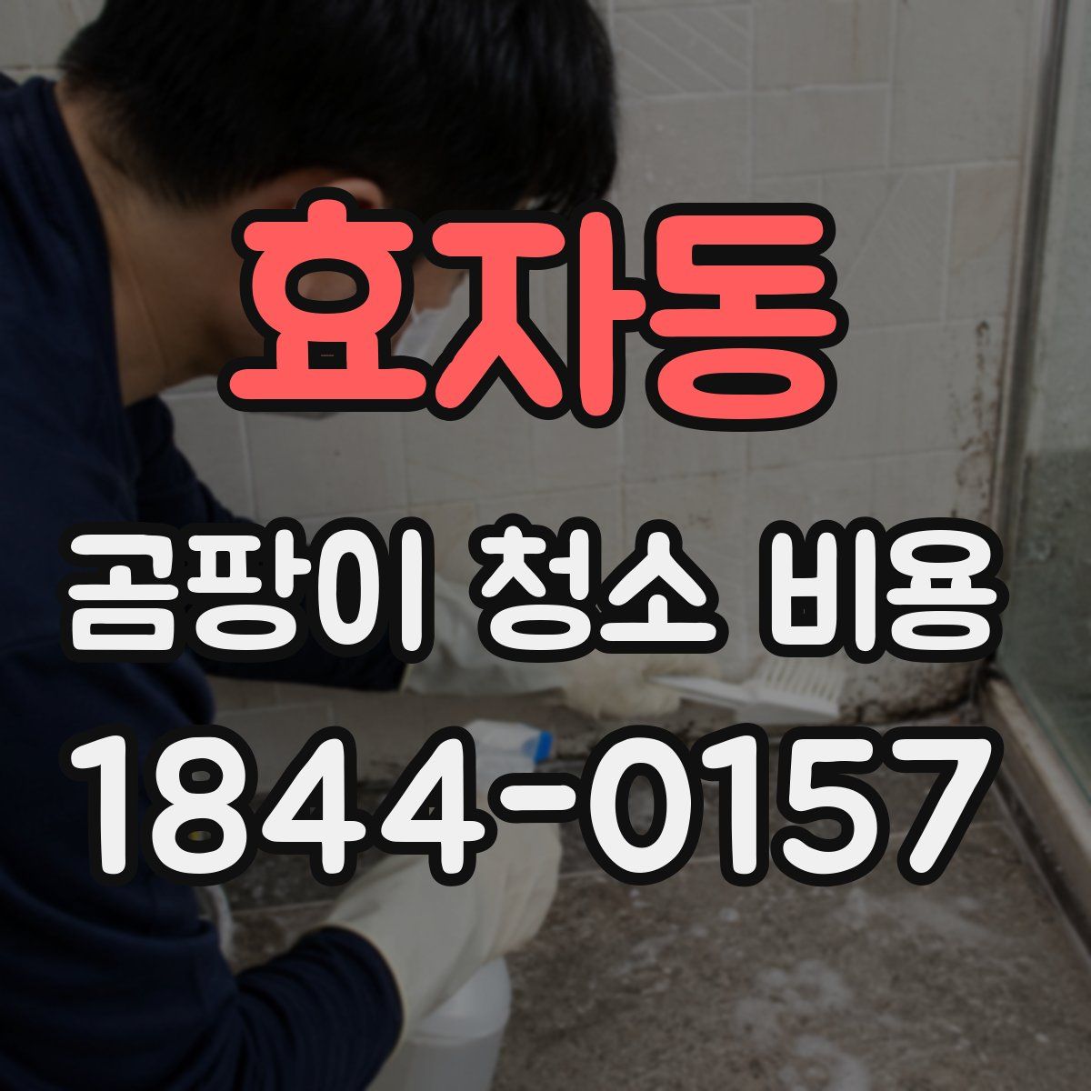 효자동 곰팡이 청소 비용