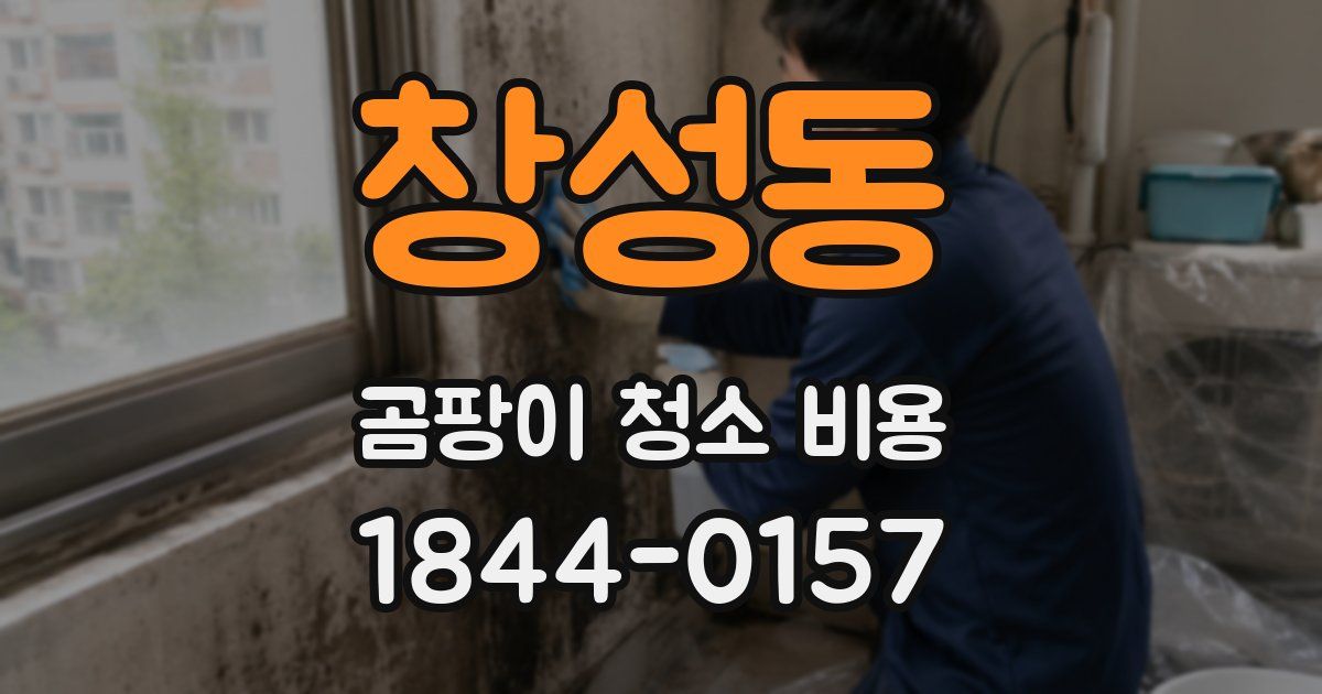 창성동 곰팡이 청소 비용