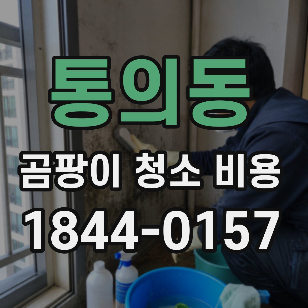 통의동 곰팡이 청소 비용