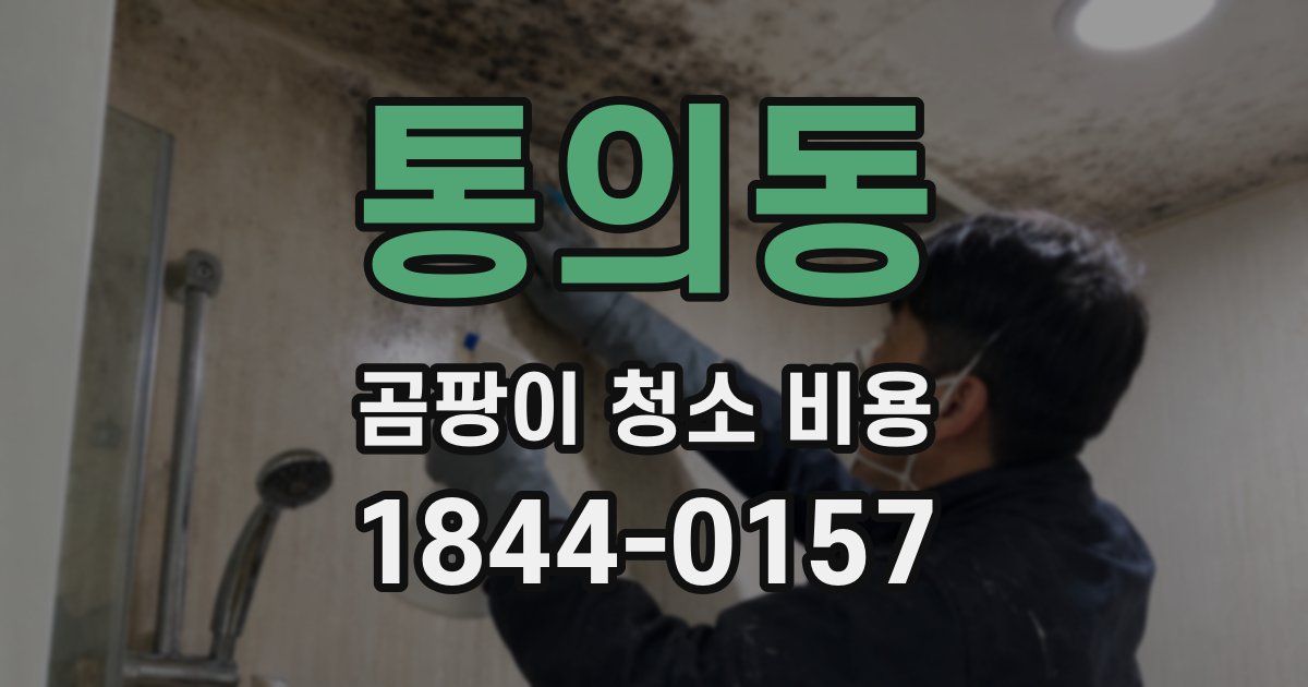 통의동 곰팡이 청소 비용