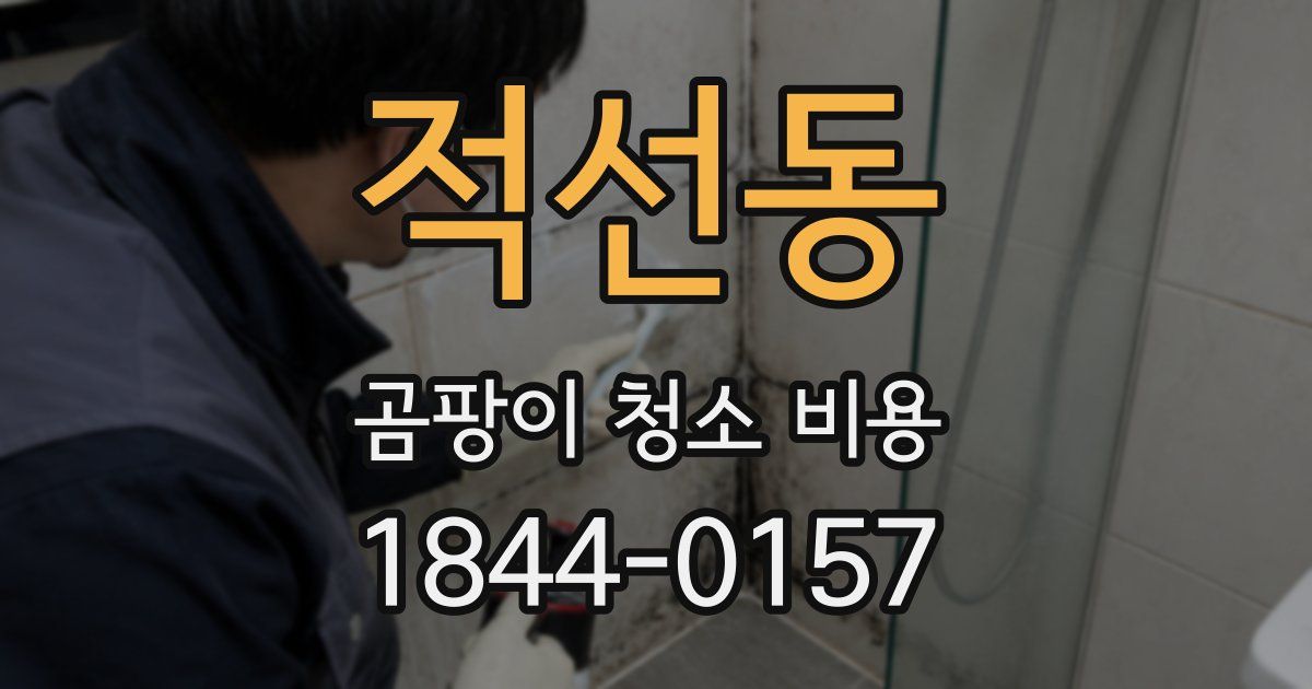 적선동 곰팡이 청소 비용