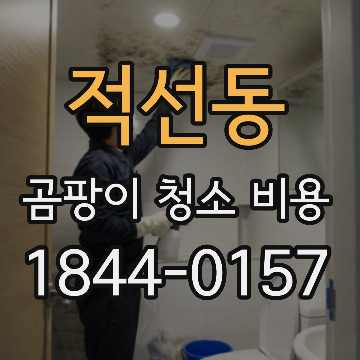 적선동 곰팡이 청소 비용