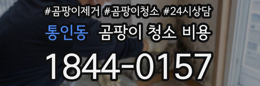 통인동 곰팡이 청소 비용