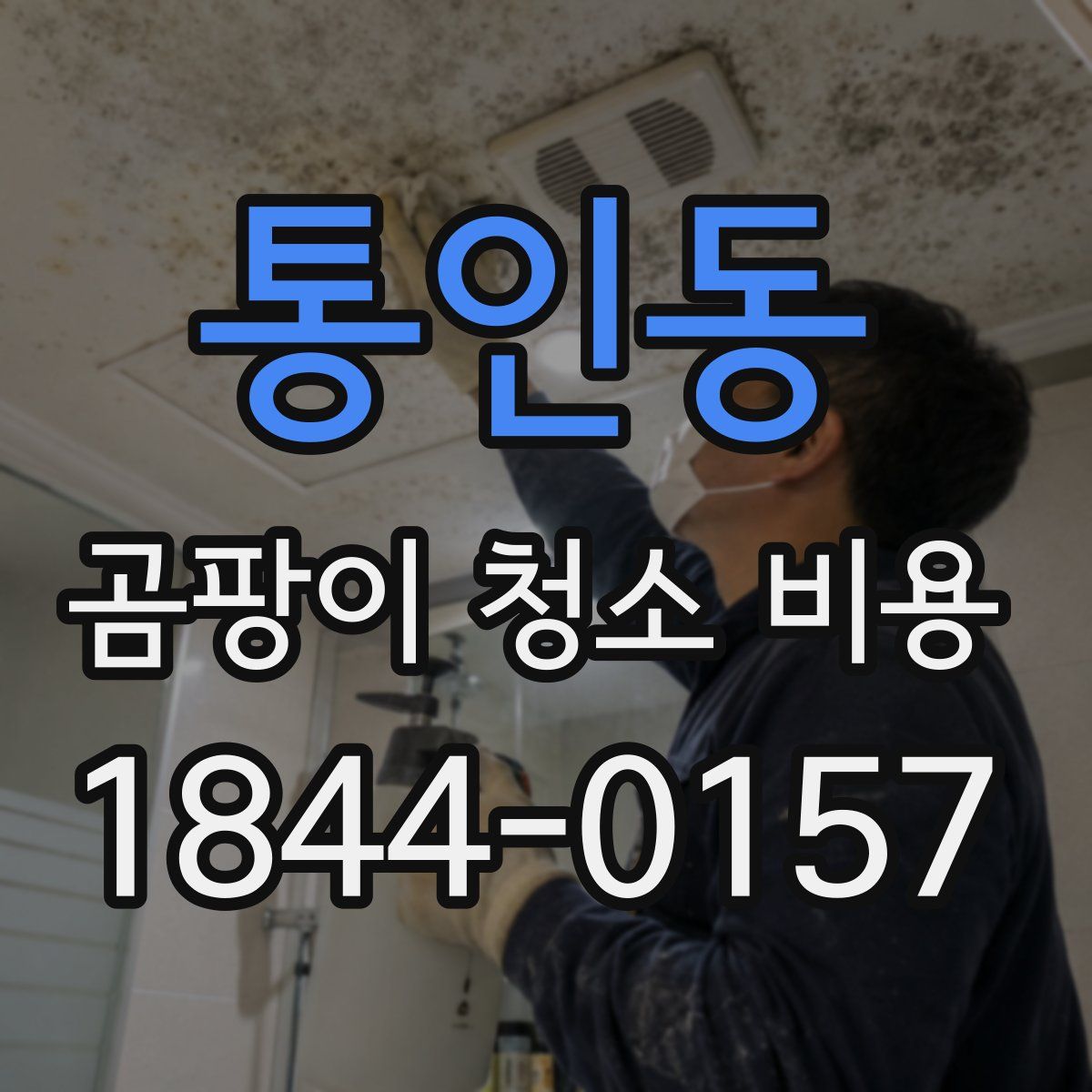 통인동 곰팡이 청소 비용