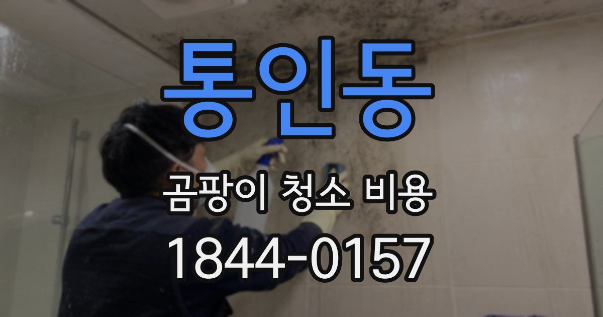 통인동 곰팡이 청소 비용