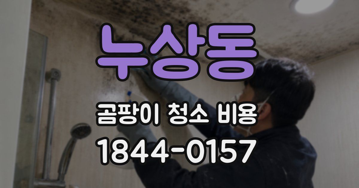 누상동 곰팡이 청소 비용