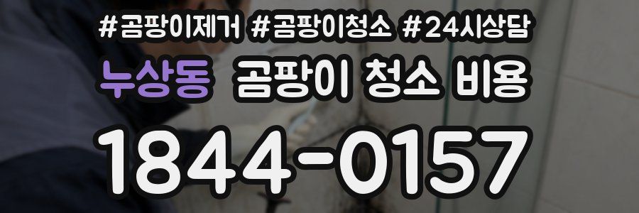 누상동 곰팡이 청소 비용