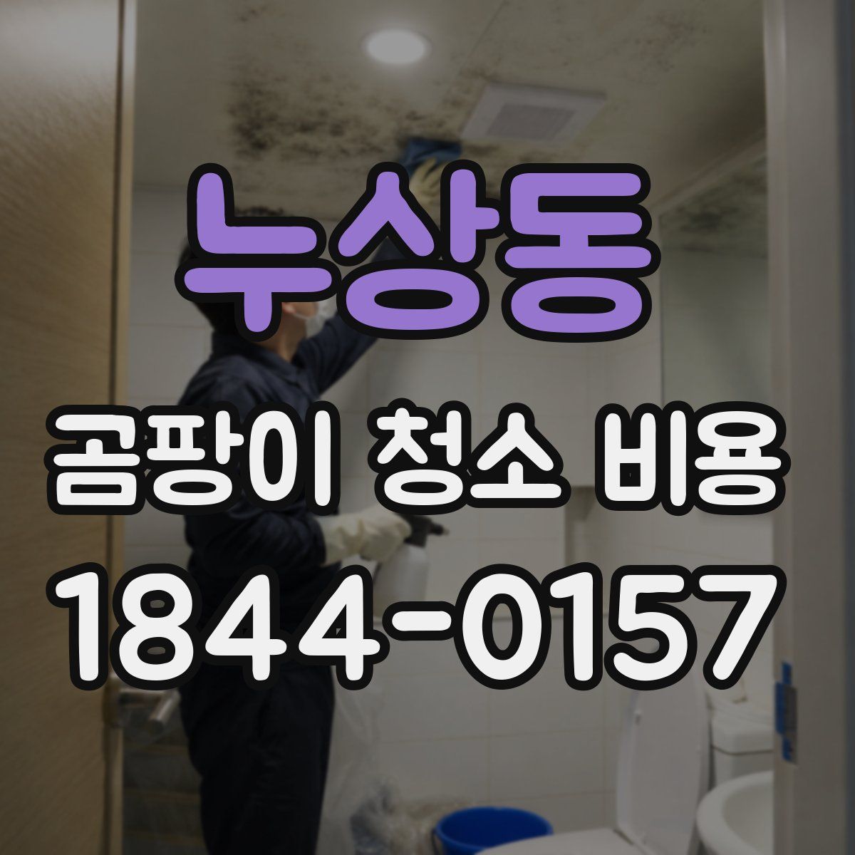누상동 곰팡이 청소 비용