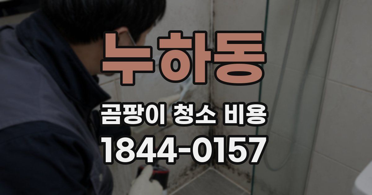 누하동 곰팡이 청소 비용