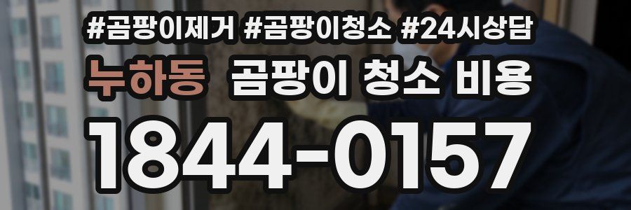 누하동 곰팡이 청소 비용