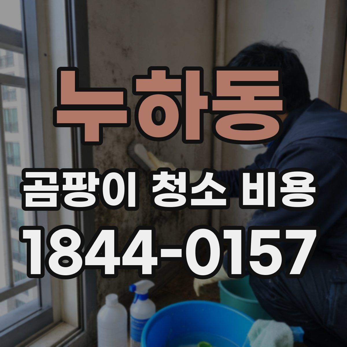누하동 곰팡이 청소 비용