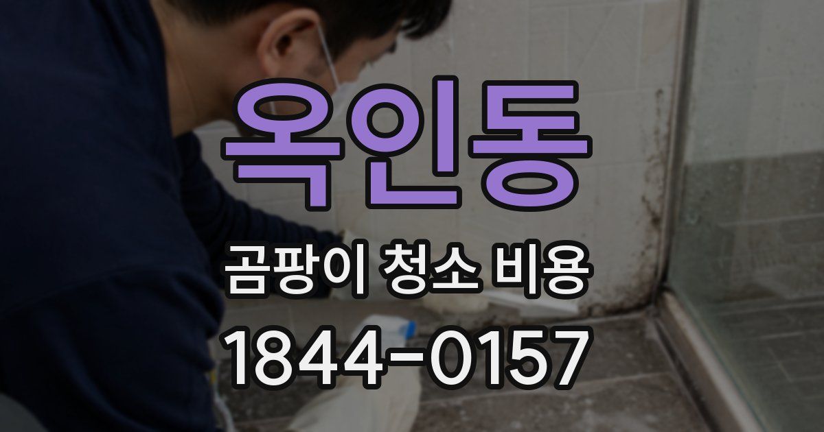 옥인동 곰팡이 청소 비용