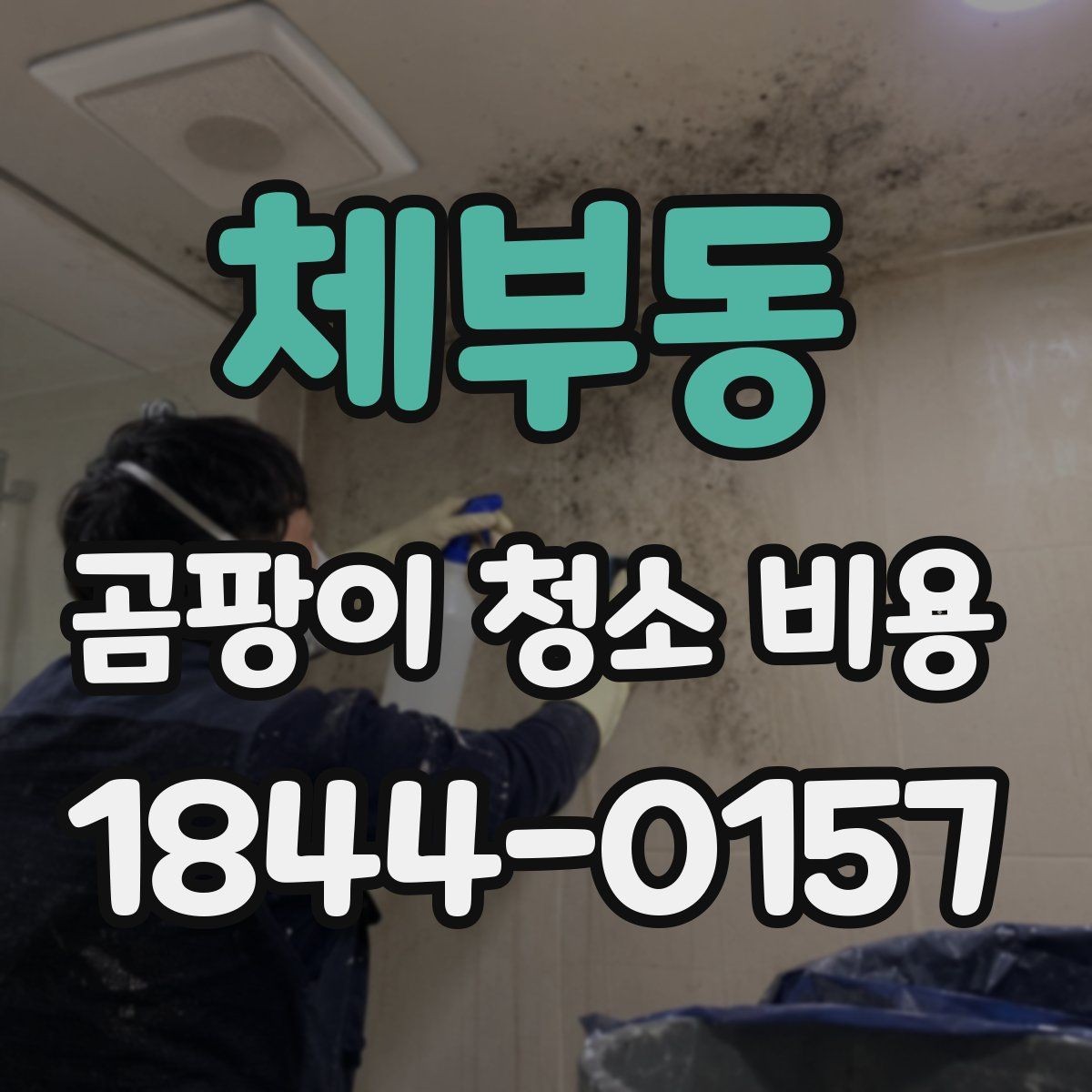 체부동 곰팡이 청소 비용 베란다와 다용도실 습기 문제까지 볼 때