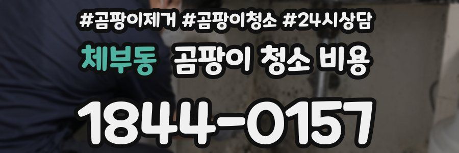 체부동 곰팡이 청소 비용