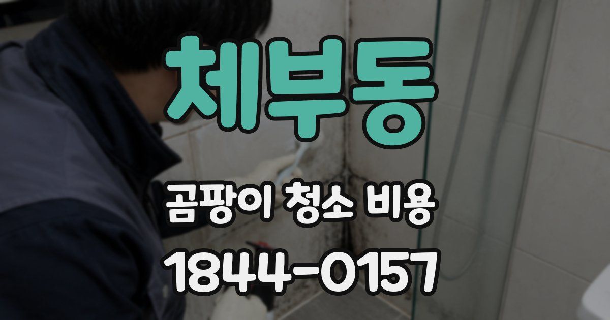 체부동 곰팡이 청소 비용