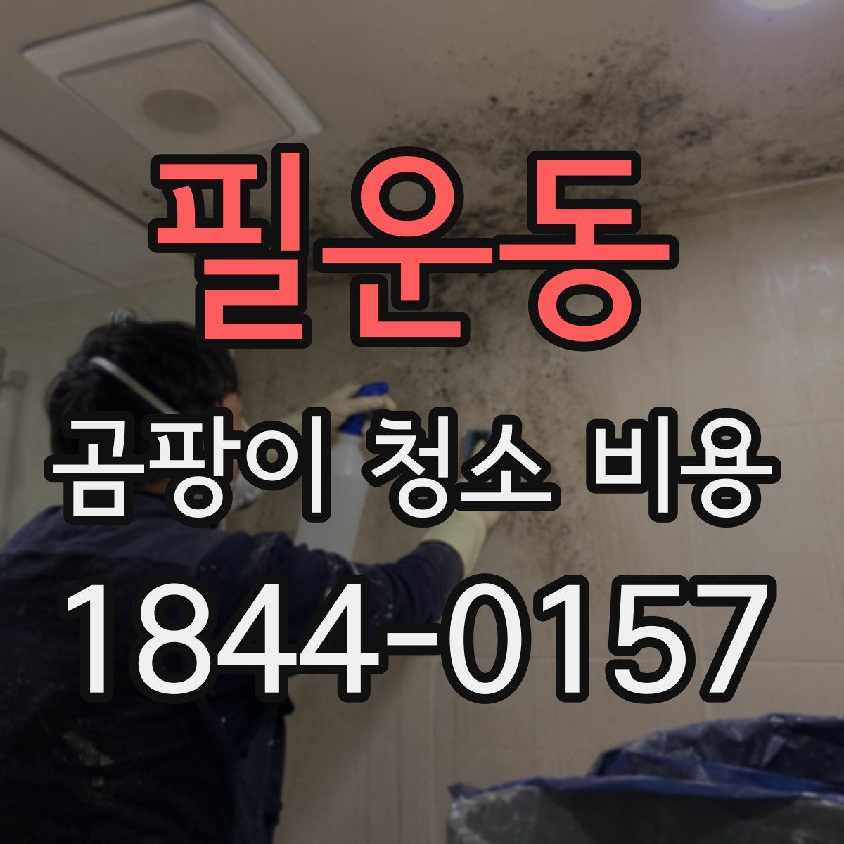 필운동 곰팡이 청소 비용